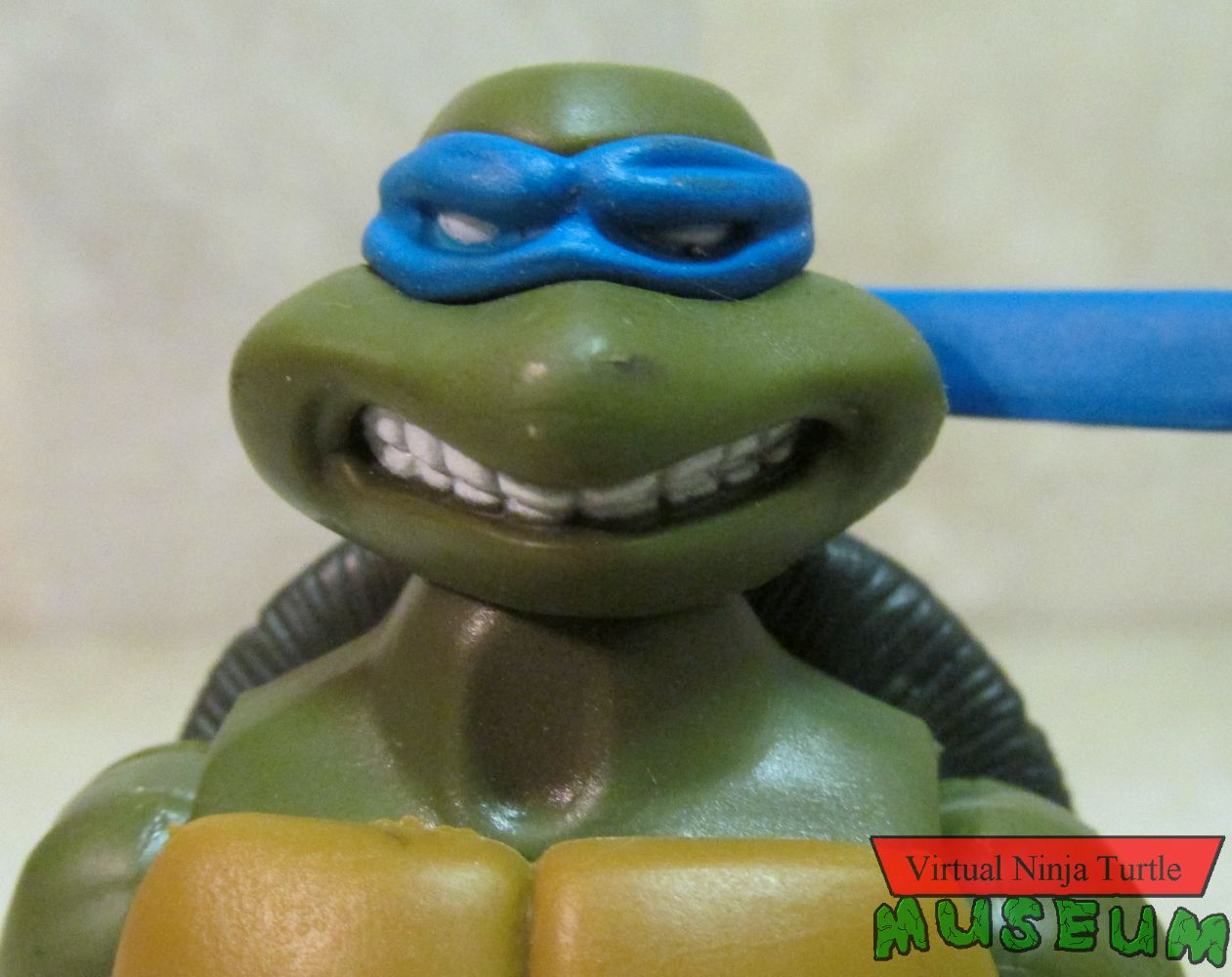 Leonardo close up