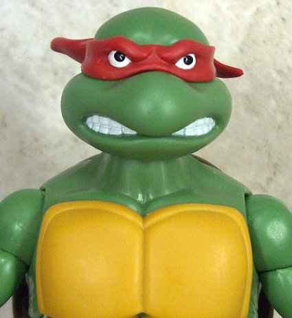 Raphael close up