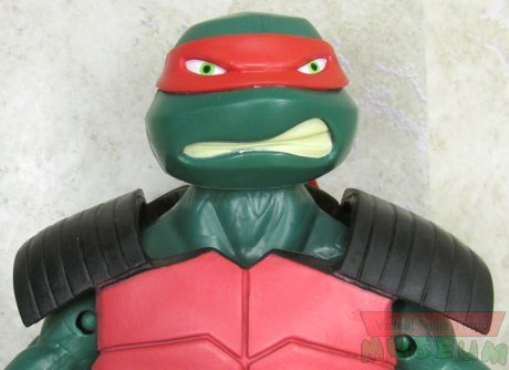 Raphael close up