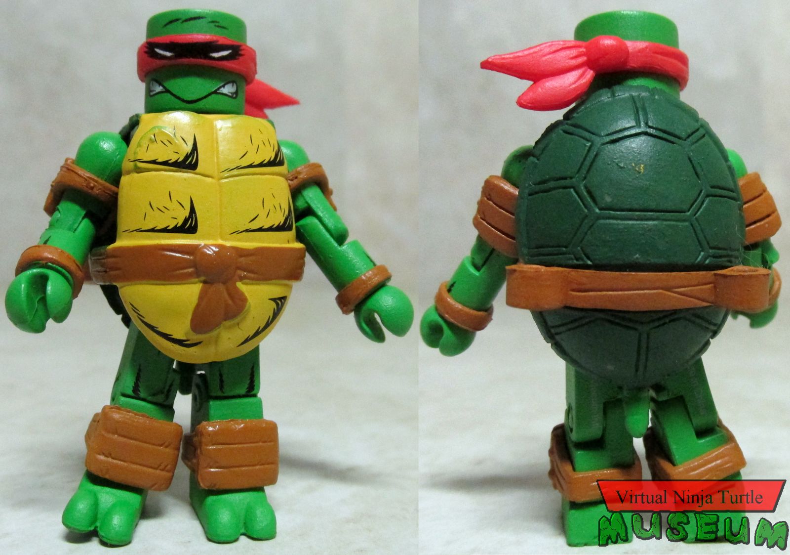 Raphael front and back