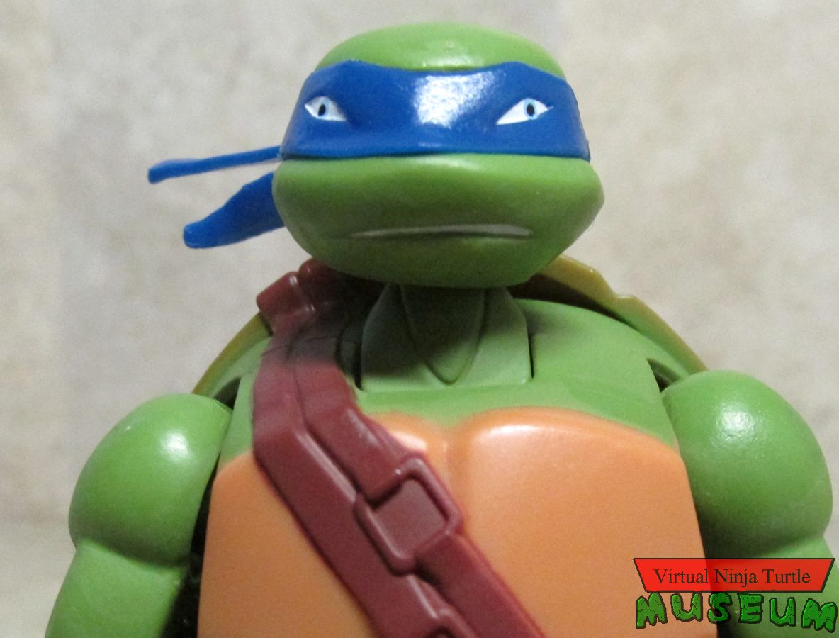 Leonardo close up