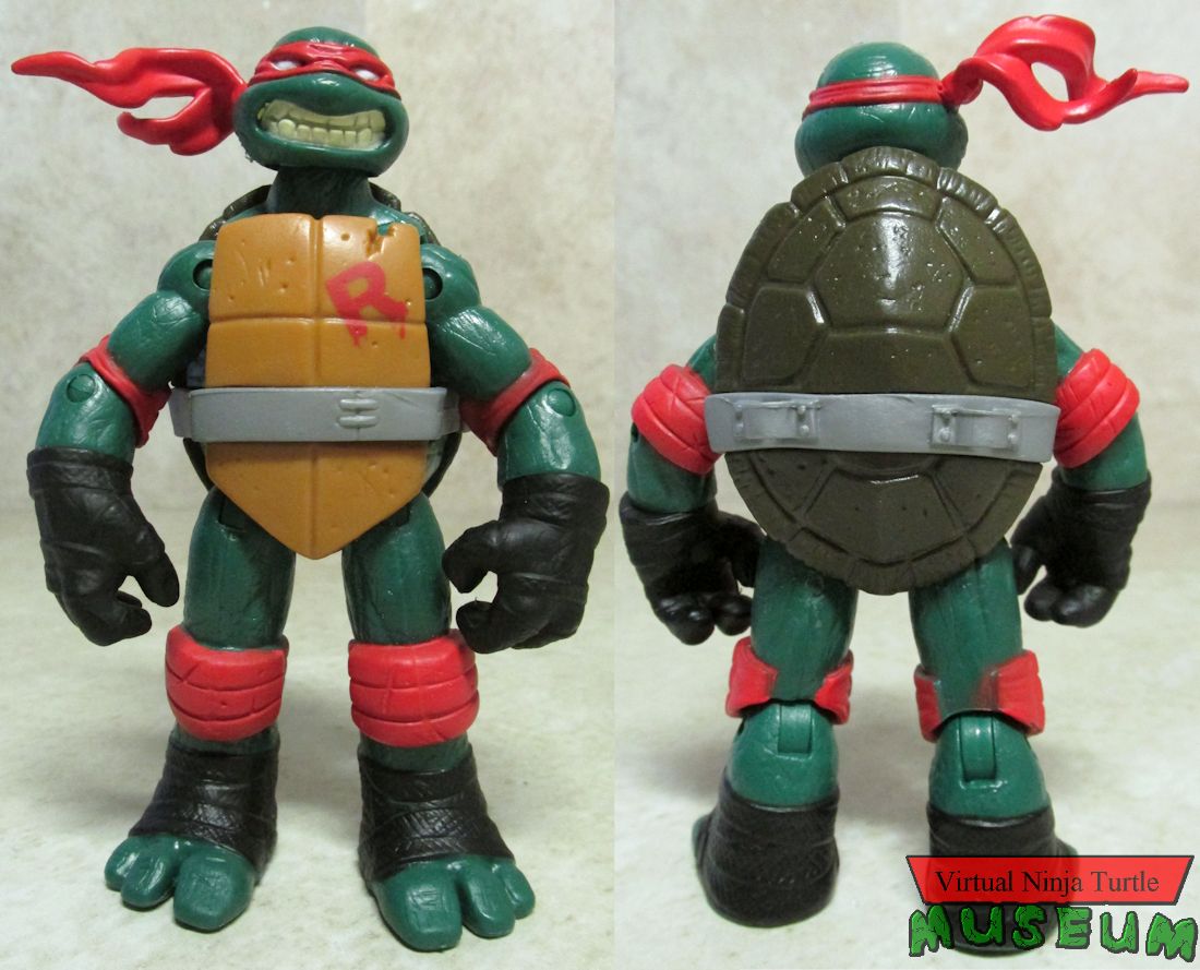 Raphael front and back