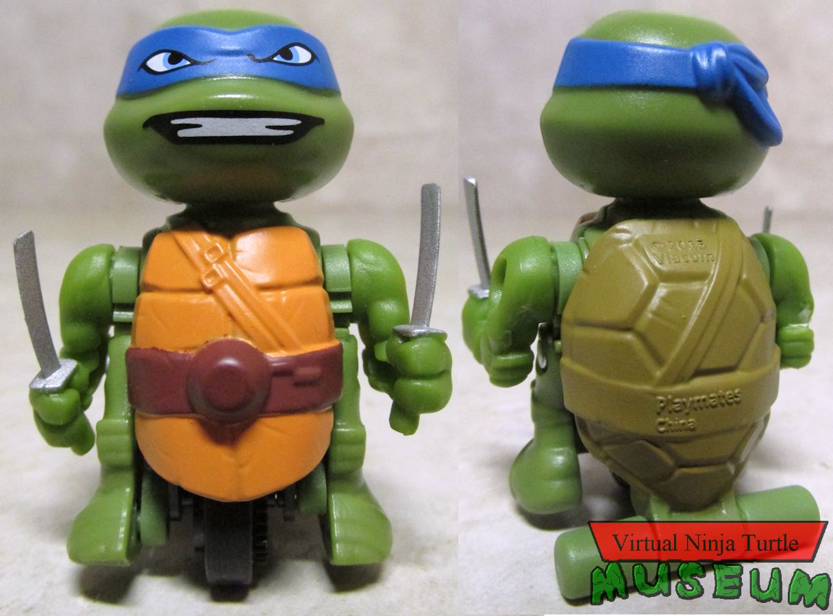 Leonardo front and back