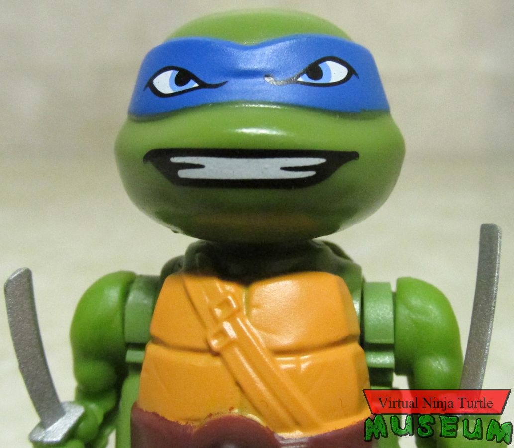 Leonardo close up