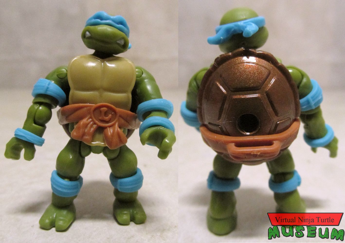 Leonardo front and back