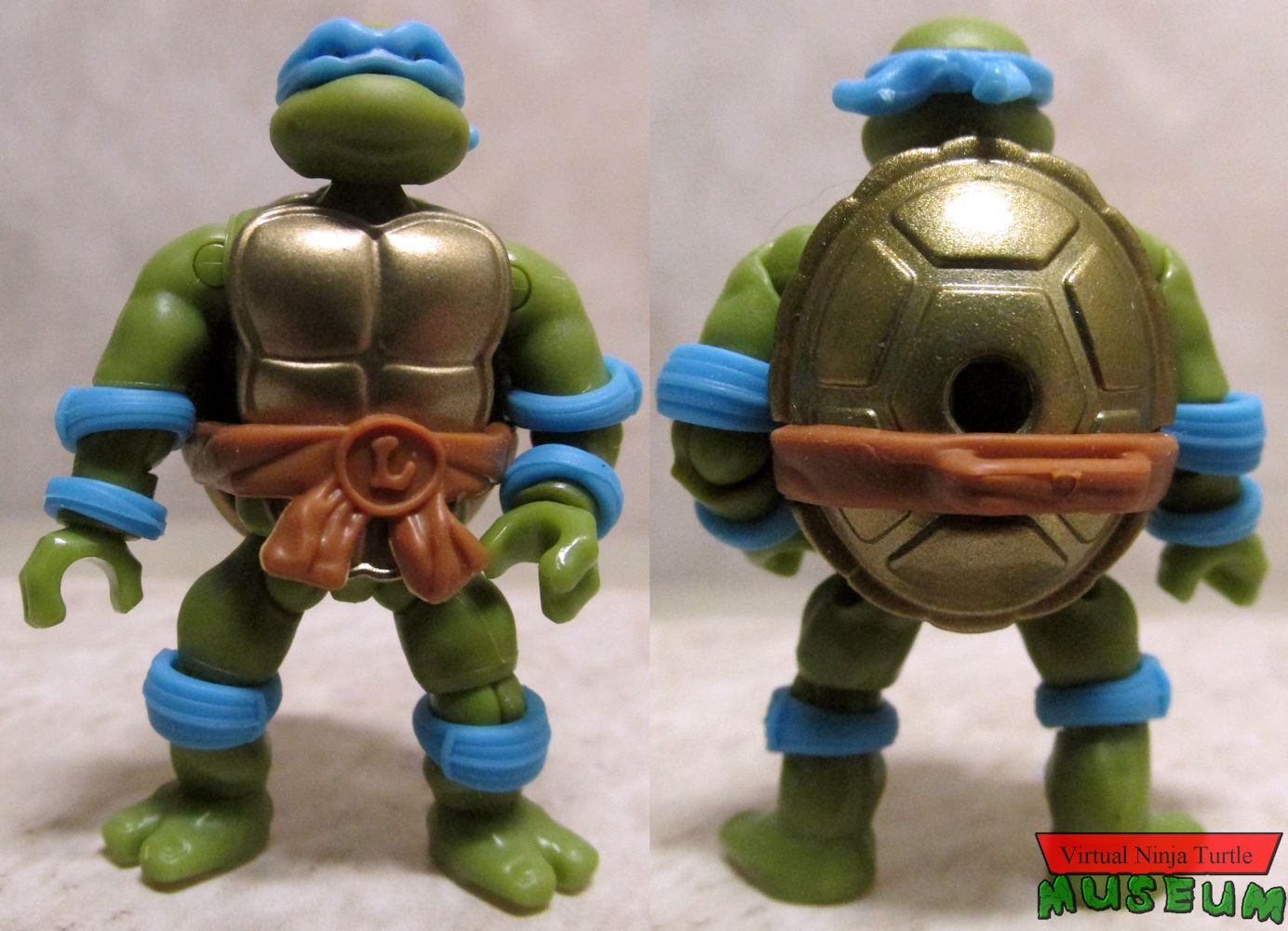 Leonardo front and back