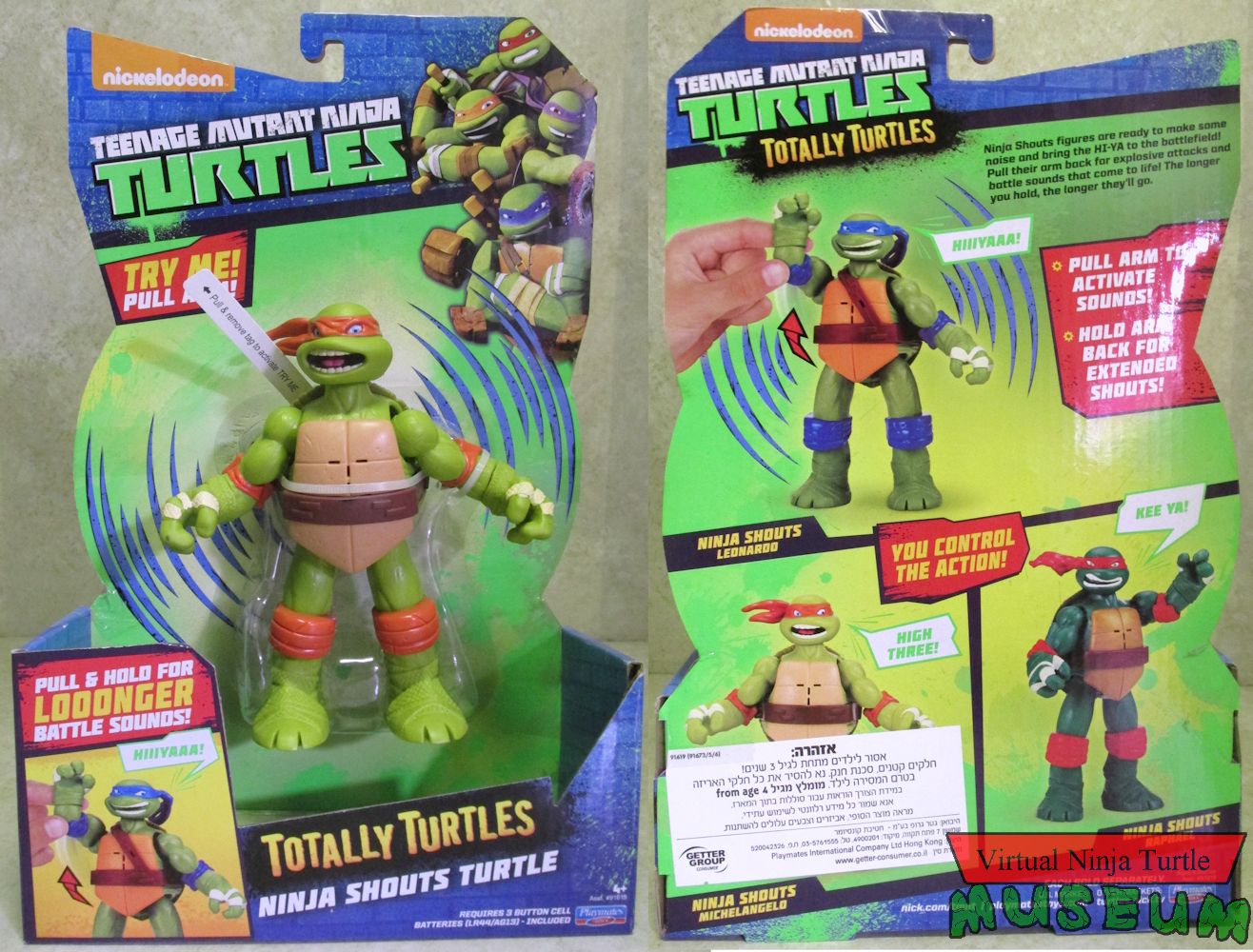 Totally Turtles card front and back