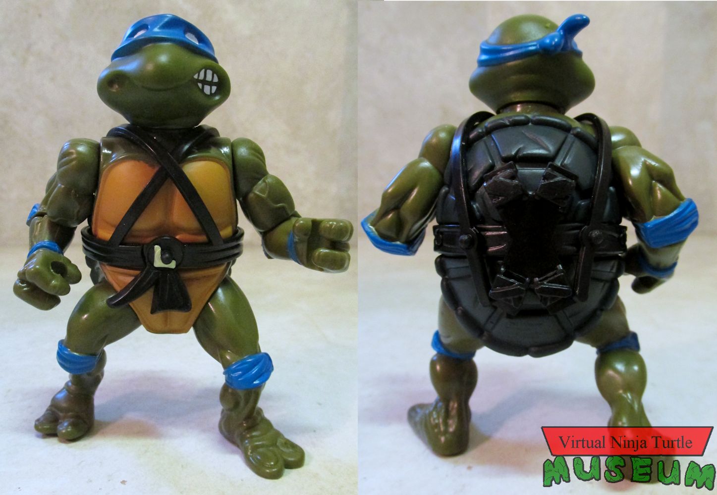 Leonardo front and back