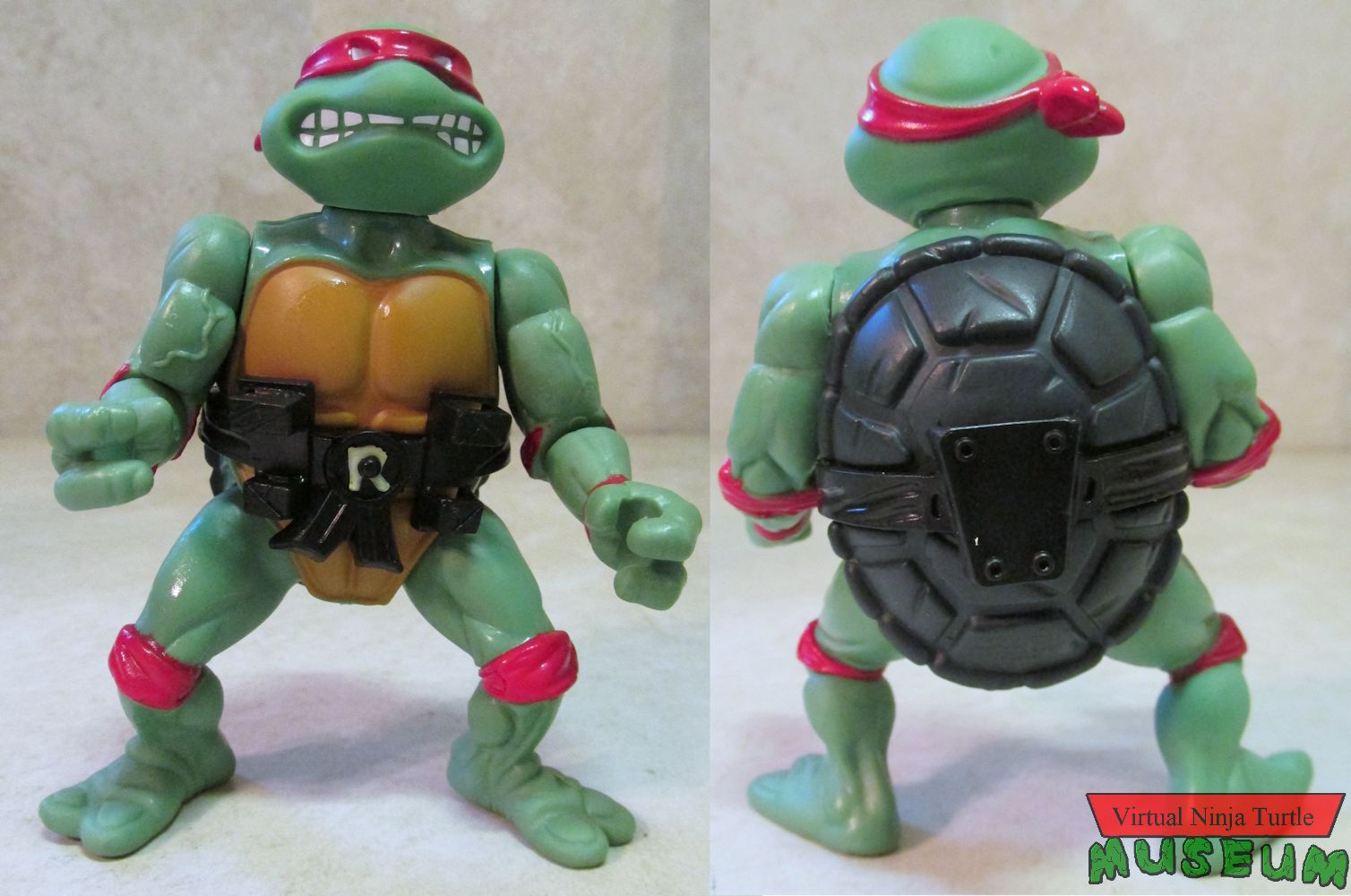 Raphael front and back