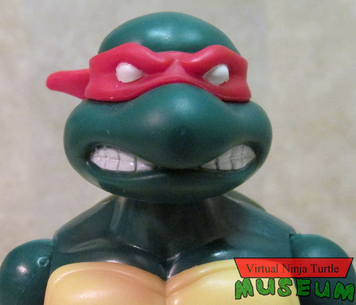 Ninja Elite Raphael close up