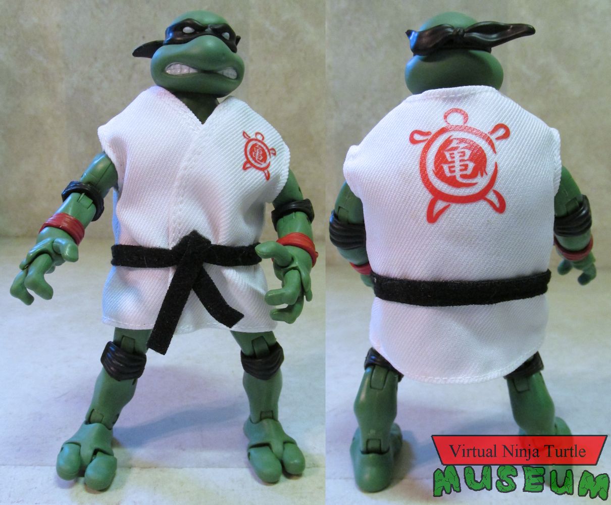 Raphael front and back