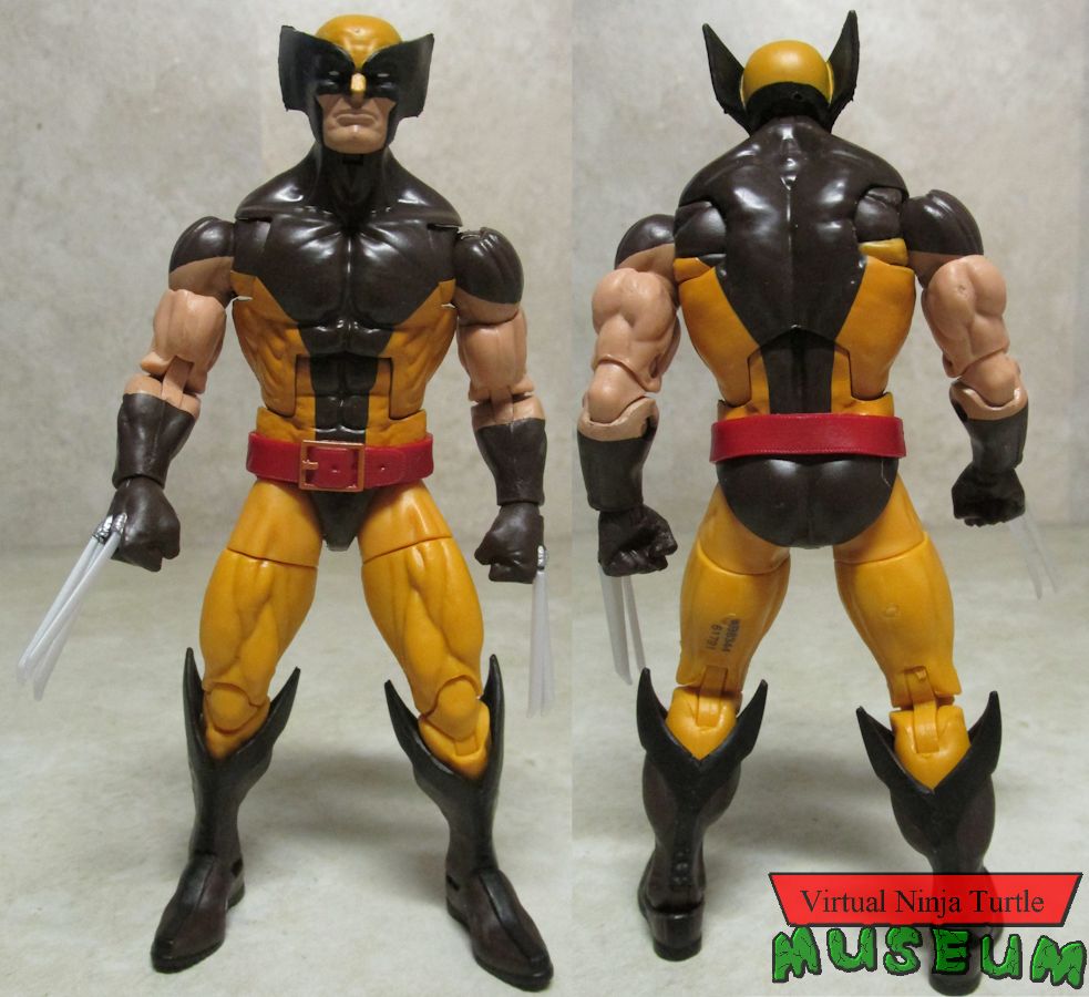 Wolverine front and back