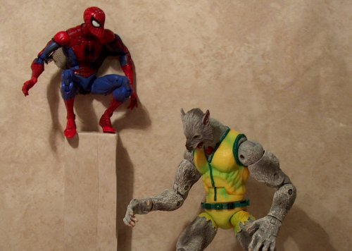 Manwolf with Spidey